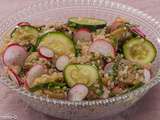 Salade de quinoa aux aubergines, courgettes et radis