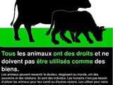 Manifestation contre l’élevage industriel le 3 mars à Paris