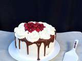 Layer cake chocolat vanille framboise