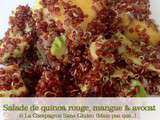 Salade de quinoa rouge à la mangue et à l’avocat