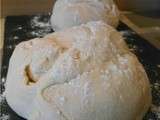 Pâte à pizza italienne