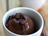 Glace Au Chocolat irrésistible, Chocolate ice cream irresistible