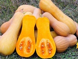Courge butternut, mon top 3