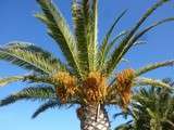 Retour de vacances et bon réveillon à tous