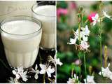 Horchata de chufa
