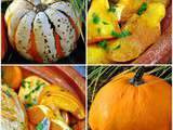 Poulet croustillant et pumpkins confites