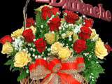 Bon dimanche