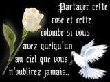Josette Baysse shared Bertrand Parisot's photo