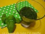 Coulis d'herbes fraîches pour salades, soupes, accompagnement