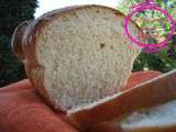 Pain de mie très moelleux au thermonix ou à la main