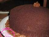Pour la St-Valentin: Chocolate Blackout Cake ou Gâteau Noir Chocolat ou Gâteau de la Panne (électrique!)