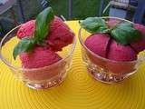 Yaourt glacé à la fraise ou fraise et mûre, allégés (light) et sans sorbetière