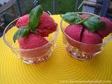 Yaourt (yogourt) glacé à la fraise ou fraise et mûre, allégés (light) et sans sorbetière