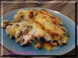 Gratin de chou à la viande