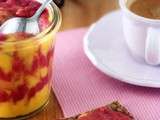 Curd marbrée d'ananas-hibiscus et de mangue