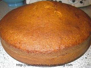 Gâteau coco-noisettes (Thermomix)