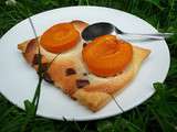 Tartelettes abricot-amandine-chocolat