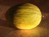 Melon (dernier) au métulon