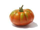 Tomate (1 - Quelle tomate pour la sauce … ?)