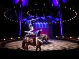 Nouveau spectacle 2018/2019 alexis gruss : origines {+ concours} [#jeuconcours #cirque #concours #paris #circus #cheval]