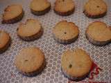 Galettes à la farine de lentilles et parmesan pour l'apéritif