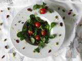 Salade de mâche aux cranberries et pistache