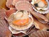Coquilles Saint-jacques � la Bretonne