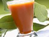 Gaspacho tomate past�que