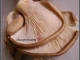 Pleurotes � l'ail