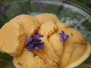 Crème glacée aux abricots et aux fleurs de lavande