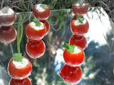 Tomates cerises farcies à la mousse de pesto de coriandre