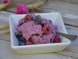 Frozen yogurt framboises/myrtilles
