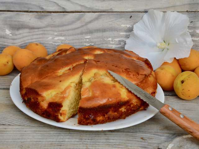 Recettes De G Teau Aux Abricots De La P Tite Cuisine De Pauline