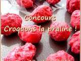 Concours  Croquons la praline !  (participations)