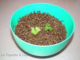 Salade de lentilles vertes (thermomix)