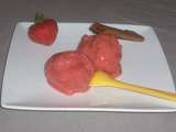 Sorbet fraise-rhubarbe