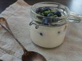 Creme de yaourt aux Myrtilles et à la Menthe Sans Lactose
