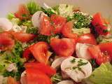 Salade romaine à la vinaigrette citronnée Viviane