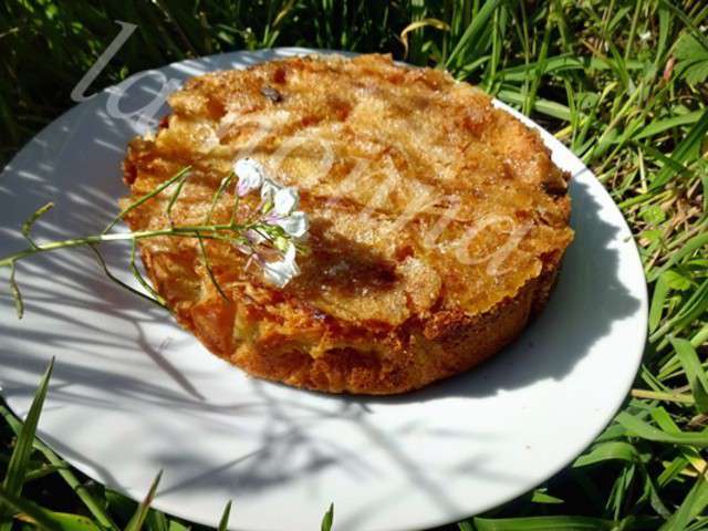 Recettes de Gâteau aux Pommes de la tambouille de nonna