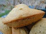 Madeleines aux épices