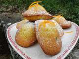 Moelleuses madeleines à l'orange et aux canneberges (cranberries) - Les recettes de mimi