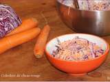 Coleslaw de chou rouge et carottes