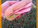 Sandwich jambon légumes