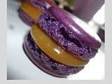 Macarons au chocolat blond