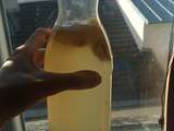 Kéfir d’eau : une boisson probiotique à tester