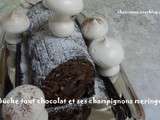Bûche tout chocolat et ses champignons meringués.....Meilleurs Voeux pour le nouvel an 2015
