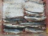 Sablés aux anchois