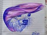 Dessin au stylo bille bic bleu et crayon aquarelle de mon chihuahua