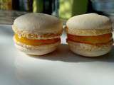 Macarons pamplemousse