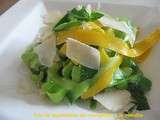 Salades de courgettes muti-couleurs